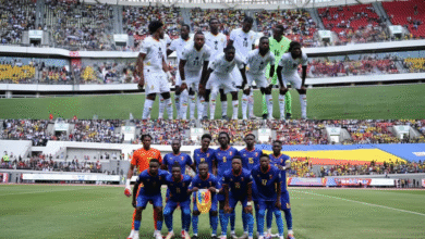 freepik retouch 37178 1