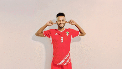 Firefly 202510231708421