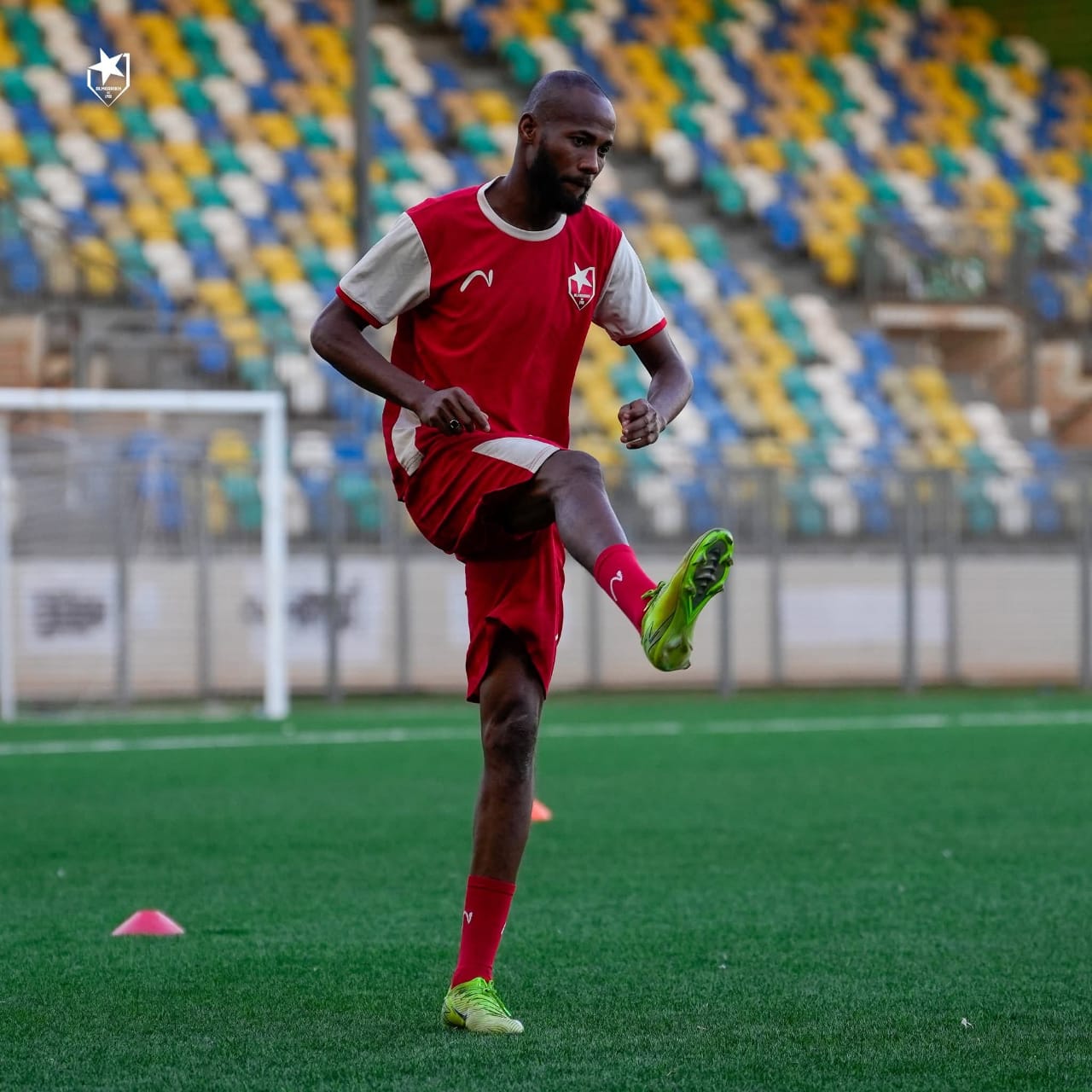 داركونفيتش لبوكاسا مفاجأتان يجهزهما داركونفيتش لبوكاسا