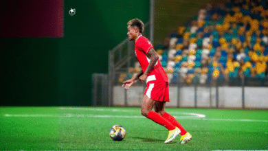 freepik expand 58588