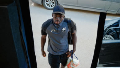 freepik expand 59592