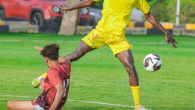 22f3f924 ea8a 4408 a493 b7ce7004ef12