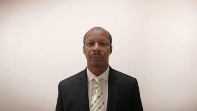 3368bf55 bf98 4786 be3a 54438ca1685d