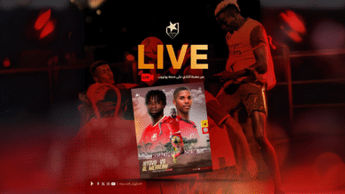 Firefly 202511241745441