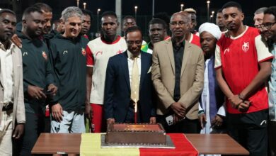 d6919147 3c59 4d6d 95c9 4cc638415de9