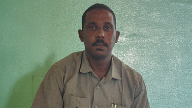 file 2025 11 10 10.52.20