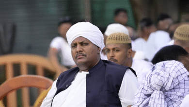 file 2025 11 10 13.08.02 1