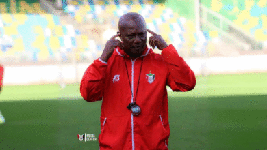 freepik expand 66879