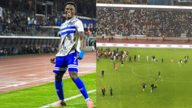 الصفوة هيدر 14