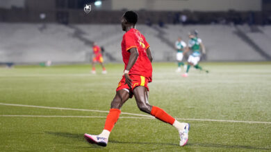 الصفوة هيدر 4 2