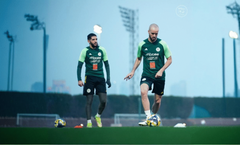 freepik expand 48157