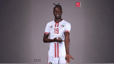 freepik expand 58061