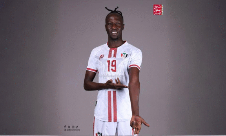 freepik expand 58061