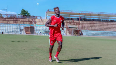 الصفوة هيدر 12