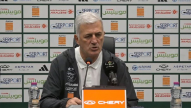 الصفوة هيدر 13 1