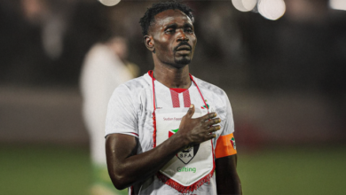 الصفوة هيدر 14