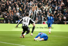 الصفوة هيدر 15