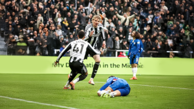 الصفوة هيدر 15