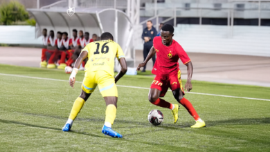 الصفوة هيدر 2