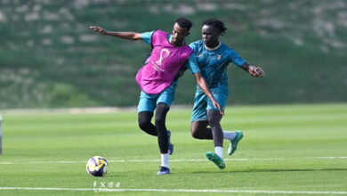 الصفوة هيدر 4