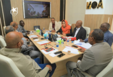 الصفوة هيدر 41