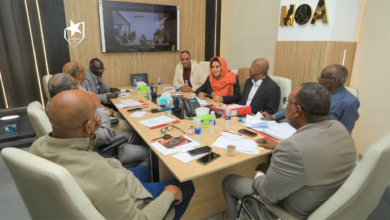 الصفوة هيدر 41