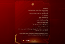 الصفوة هيدر 81