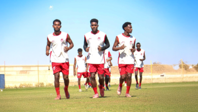 الصفوة هيدر 85