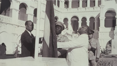 الصفوة هيدر 86