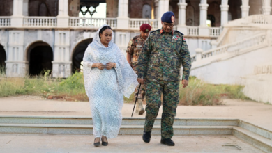 الصفوة هيدر 87