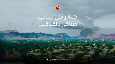 Firefly 20260203200521