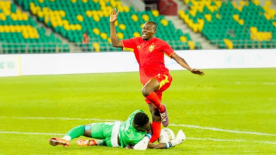 Firefly 20260222232521