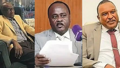 الصفوة هيدر 104