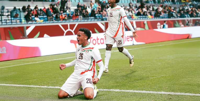 الصفوة هيدر 11