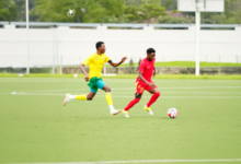 الصفوة هيدر 22