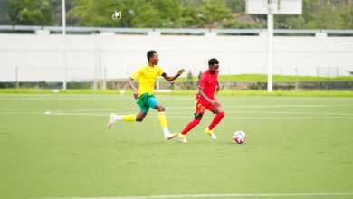 الصفوة هيدر 22