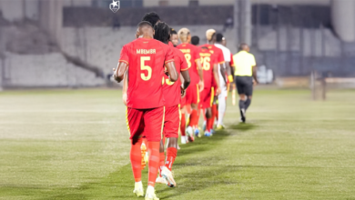 الصفوة هيدر