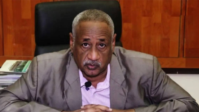 الصفوة هيدر 54