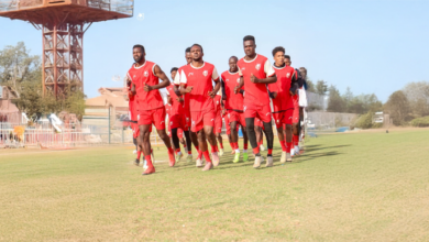 الصفوة هيدر 6