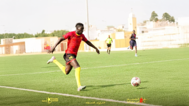 الصفوة هيدر 184