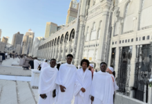 الصفوة هيدر 192