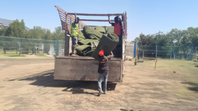 Firefly 20260429212127.png.jpg