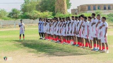 الرديف السوداني يشارك في الواجب الإنساني بالدويم