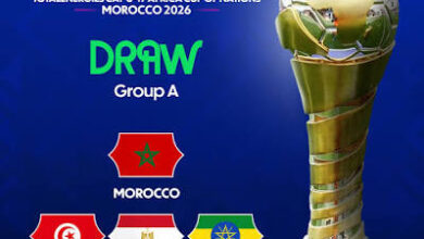 d785abc1 1008 4aa6 8295 83a9e104b0b5 1