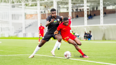 الصفوة هيدر 233