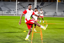 الصفوة هيدر 246