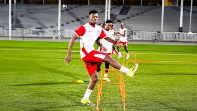 الصفوة هيدر 246