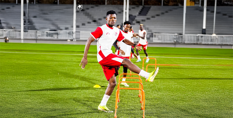 الصفوة هيدر 246