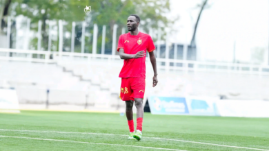 الصفوة هيدر 256