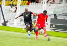 الصفوة هيدر 261